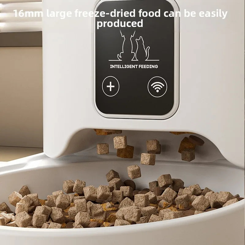 HD Video Automatic Pet Feeder for Cats Dogs 4L Smart Timed Quantitative Food Dispenser with Stainless Steel Bow Pet Supplies